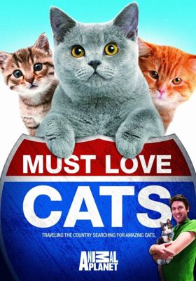 Кошек не любить нельзя 1-2 сезон (2010)