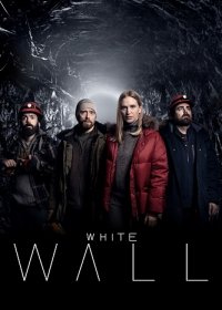 Белая стена 1 сезон (2020)